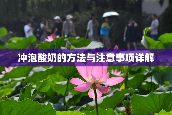 冲泡酸奶的方法与注意事项详解
