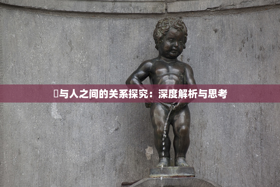 嘼与人之间的关系探究：深度解析与思考