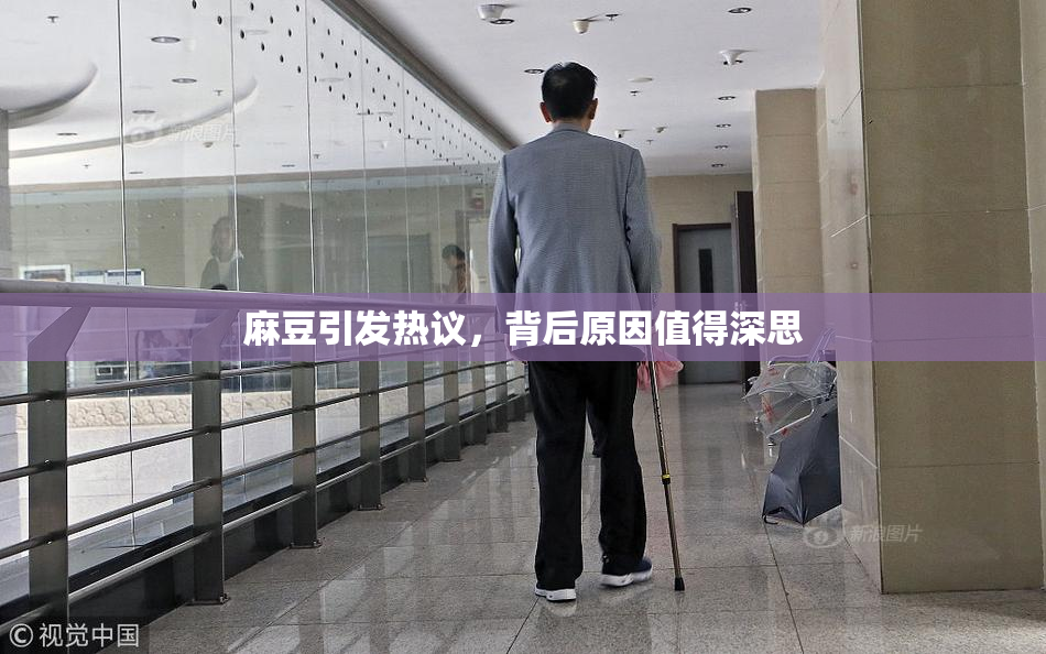 麻豆引发热议，背后原因值得深思