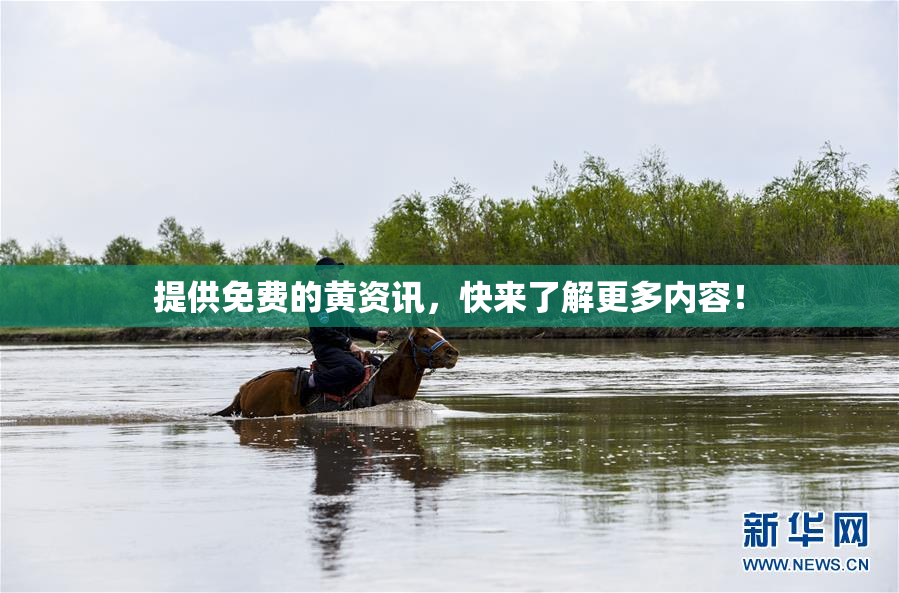 提供免费的黄资讯，快来了解更多内容！