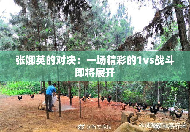 张娜英的对决：一场精彩的1vs战斗即将展开
