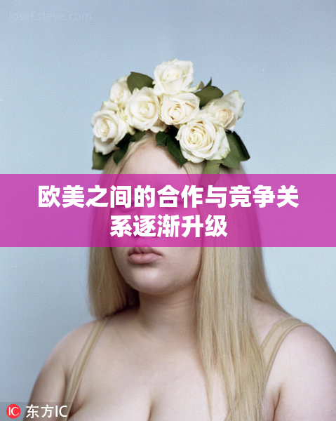 欧美之间的合作与竞争关系逐渐升级