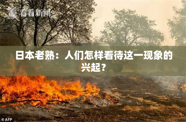 日本老熟：人们怎样看待这一现象的兴起？