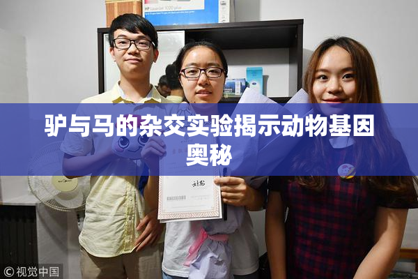 驴与马的杂交实验揭示动物基因奥秘