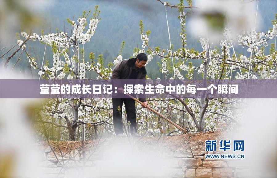 莹莹的成长日记：探索生命中的每一个瞬间