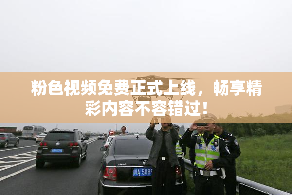 粉色视频免费正式上线，畅享精彩内容不容错过！