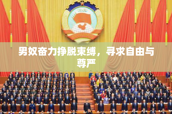 男奴奋力挣脱束缚，寻求自由与尊严