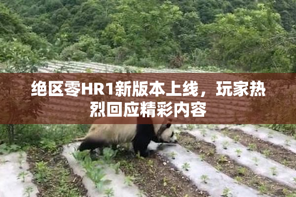 绝区零HR1新版本上线，玩家热烈回应精彩内容
