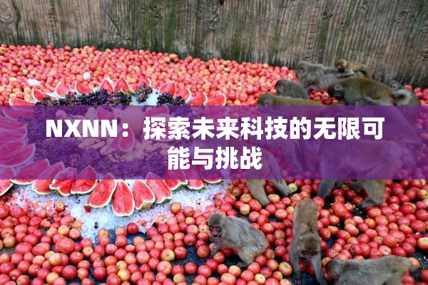 NXNN：探索未来科技的无限可能与挑战