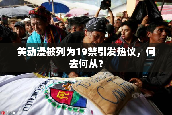 黄动漫被列为19禁引发热议，何去何从？