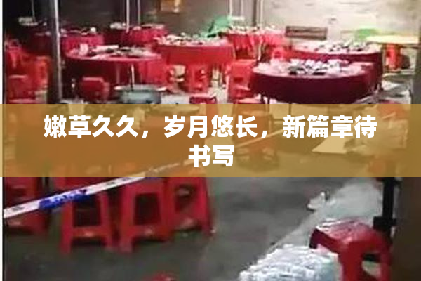 嫩草久久，岁月悠长，新篇章待书写
