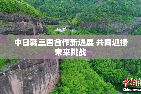 中日韩三国合作新进展 共同迎接未来挑战