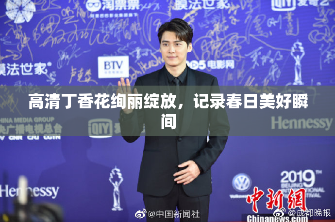 高清丁香花绚丽绽放，记录春日美好瞬间