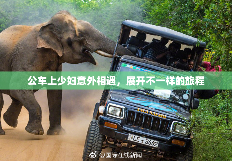 公车上少妇意外相遇，展开不一样的旅程