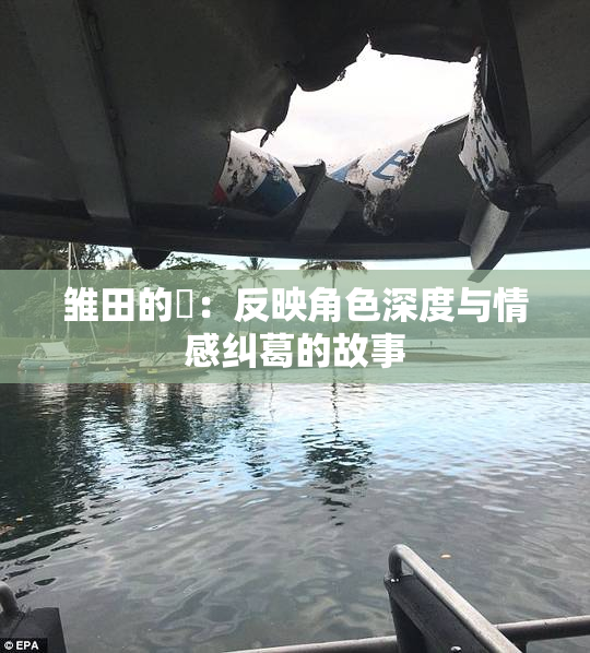 雏田的婬：反映角色深度与情感纠葛的故事