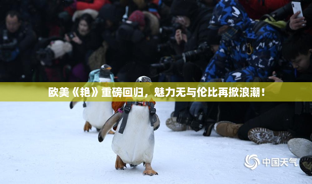 欧美《艳》重磅回归，魅力无与伦比再掀浪潮！