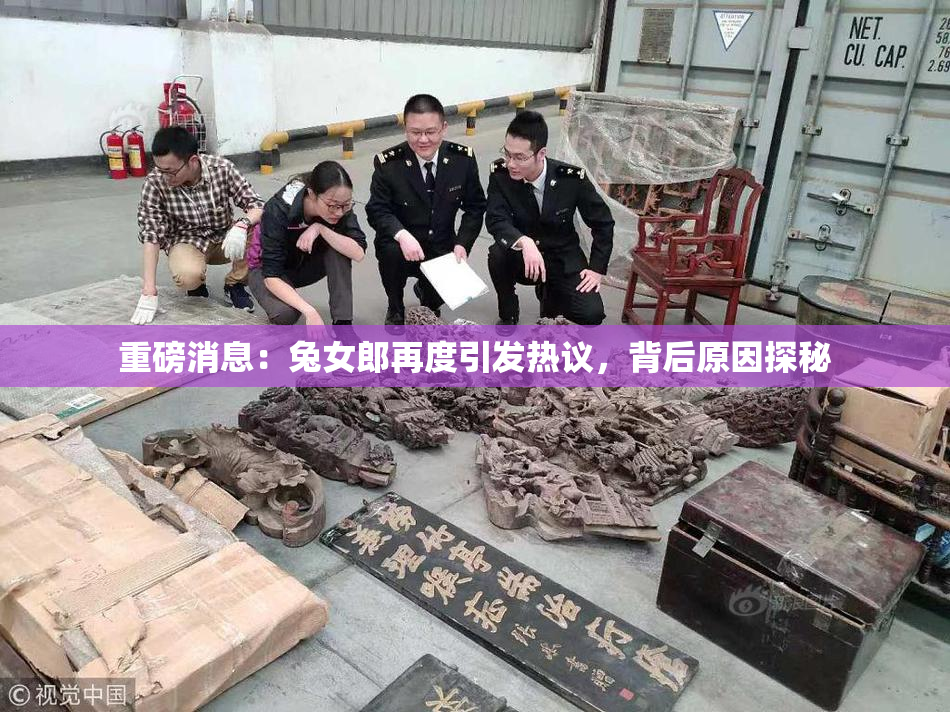 重磅消息：兔女郎再度引发热议，背后原因探秘