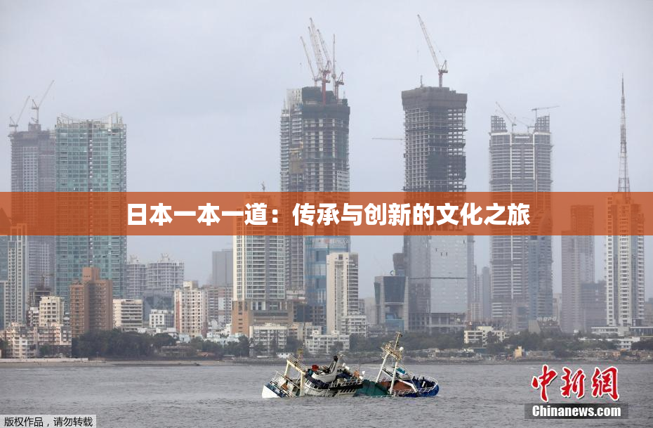 日本一本一道：传承与创新的文化之旅
