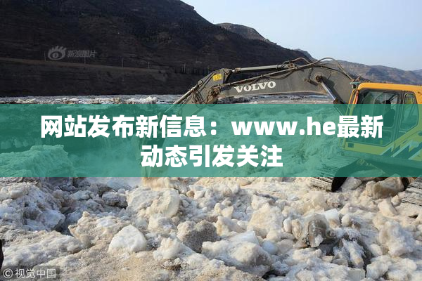 网站发布新信息：www.he最新动态引发关注