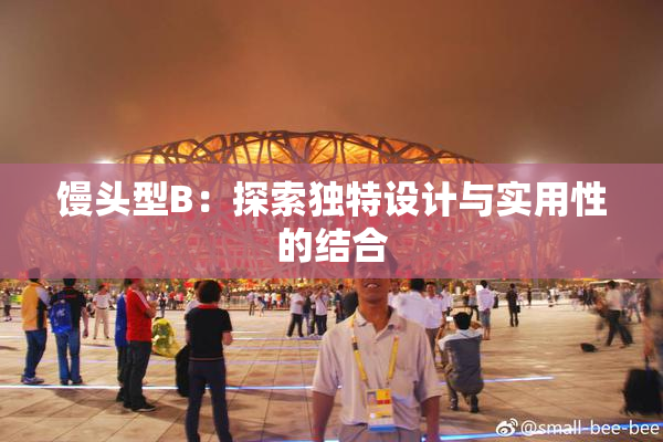 馒头型B：探索独特设计与实用性的结合