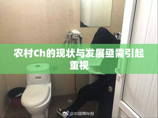 农村Ch的现状与发展亟需引起重视