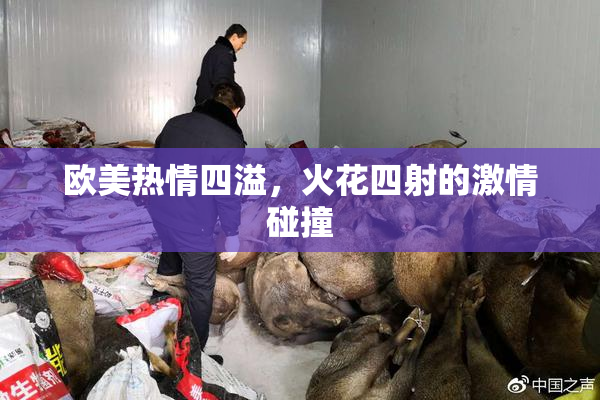欧美热情四溢，火花四射的激情碰撞