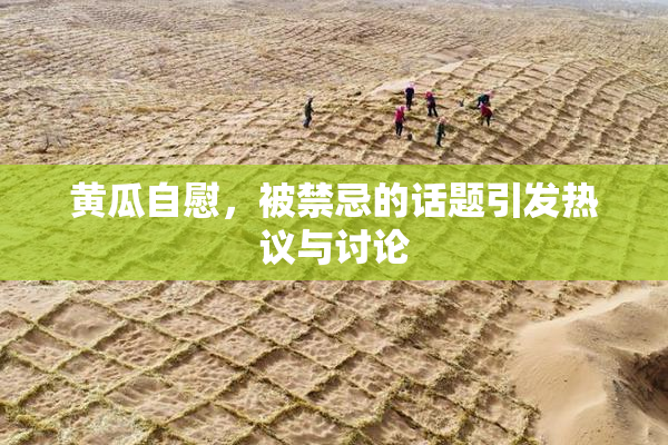 黄瓜自慰，被禁忌的话题引发热议与讨论