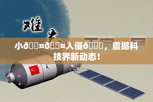 小🐤🐤入侵🍑，震撼科技界新动态！