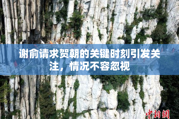 谢俞请求贺朝的关键时刻引发关注，情况不容忽视