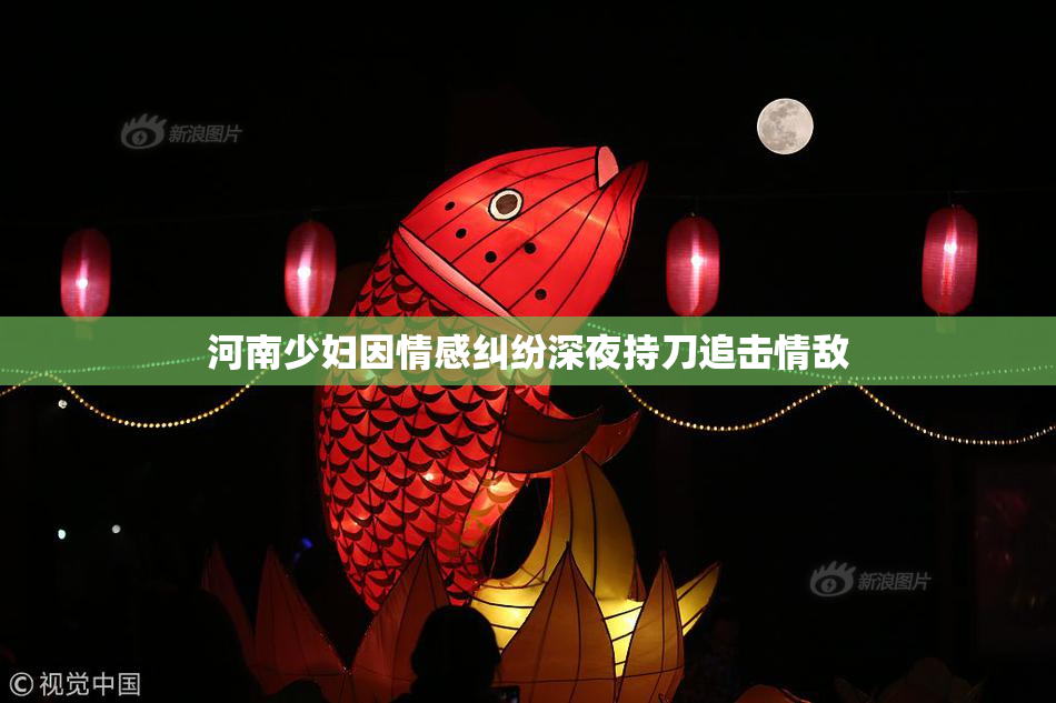 河南少妇因情感纠纷深夜持刀追击情敌