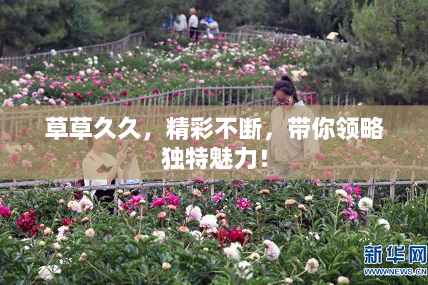 草草久久，精彩不断，带你领略独特魅力！