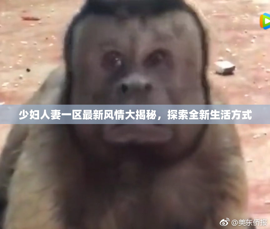 少妇人妻一区最新风情大揭秘，探索全新生活方式