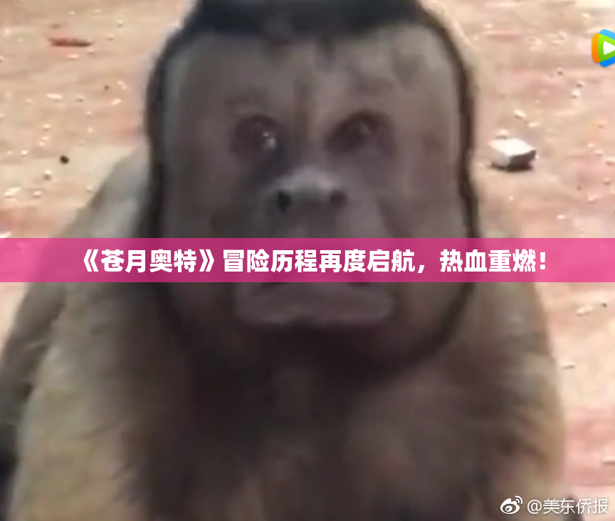 《苍月奥特》冒险历程再度启航，热血重燃！