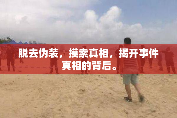脱去伪装，摸索真相，揭开事件真相的背后。
