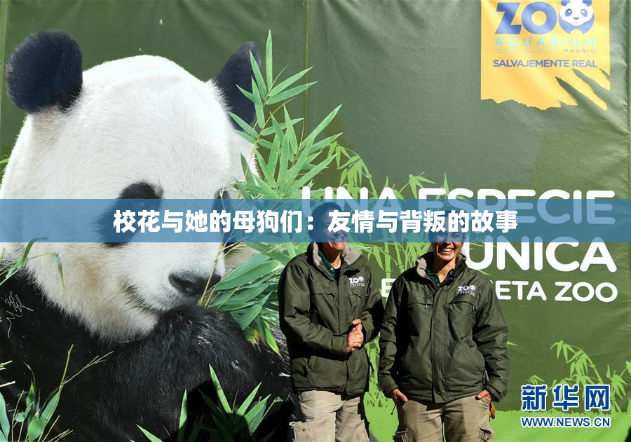 校花与她的母狗们：友情与背叛的故事
