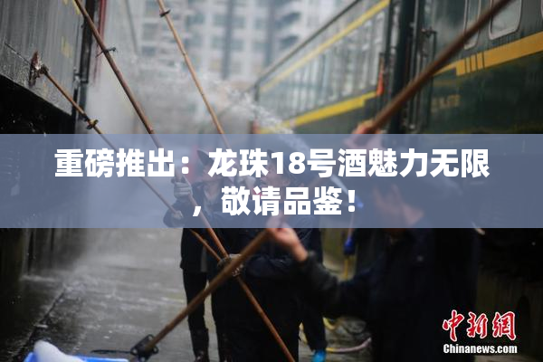 重磅推出：龙珠18号酒魅力无限，敬请品鉴！