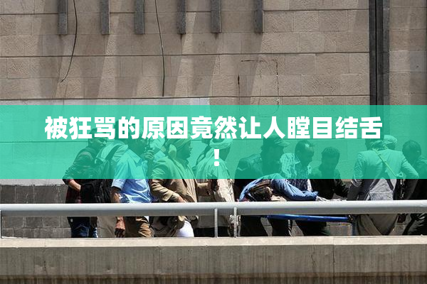被狂骂的原因竟然让人瞠目结舌！