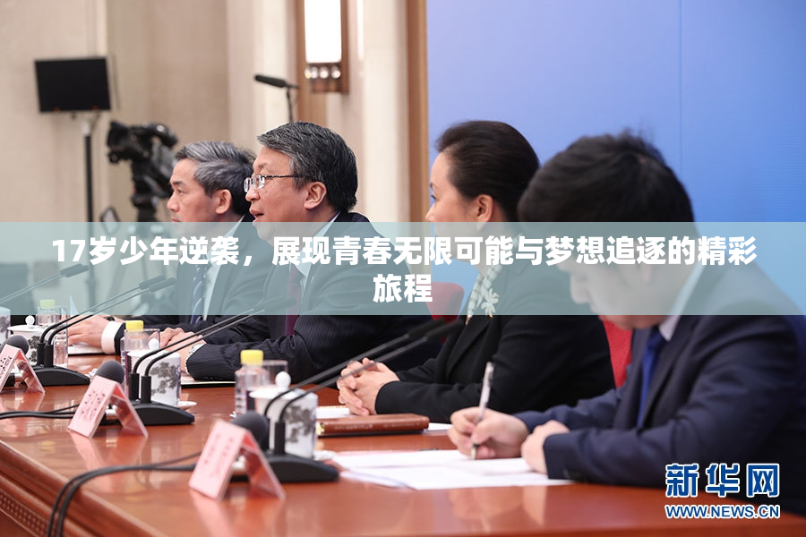 17岁少年逆袭，展现青春无限可能与梦想追逐的精彩旅程