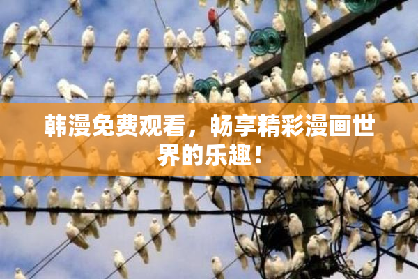 韩漫免费观看，畅享精彩漫画世界的乐趣！