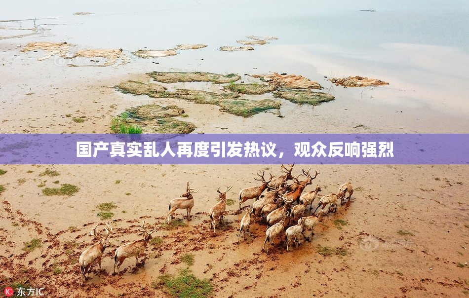 国产真实乱人再度引发热议，观众反响强烈