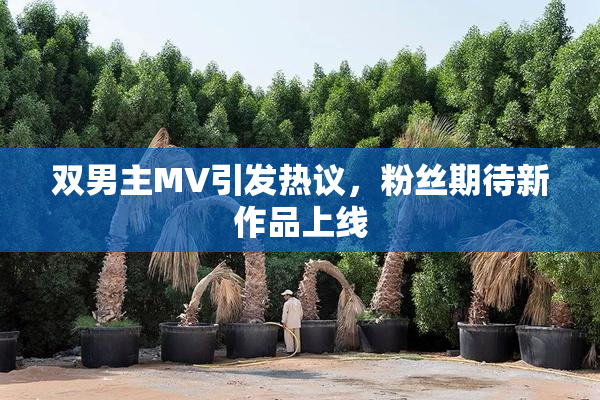 双男主MV引发热议，粉丝期待新作品上线