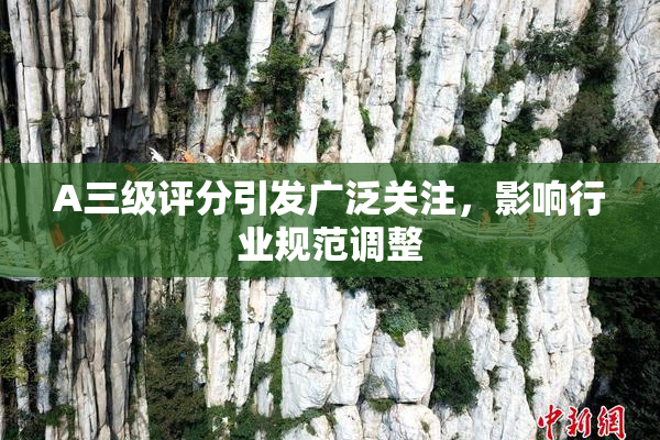 A三级评分引发广泛关注，影响行业规范调整