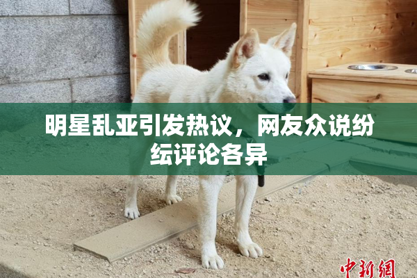 明星乱亚引发热议，网友众说纷纭评论各异