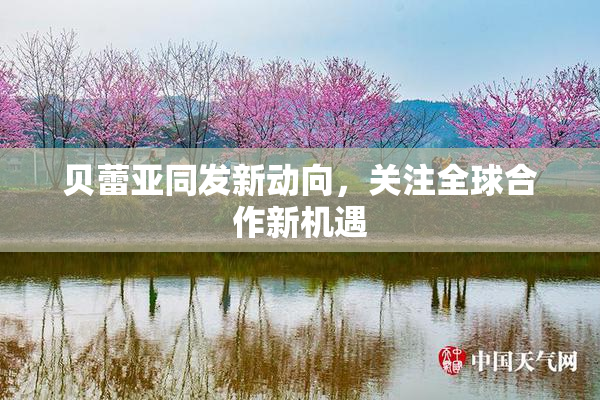 贝蕾亚同发新动向，关注全球合作新机遇