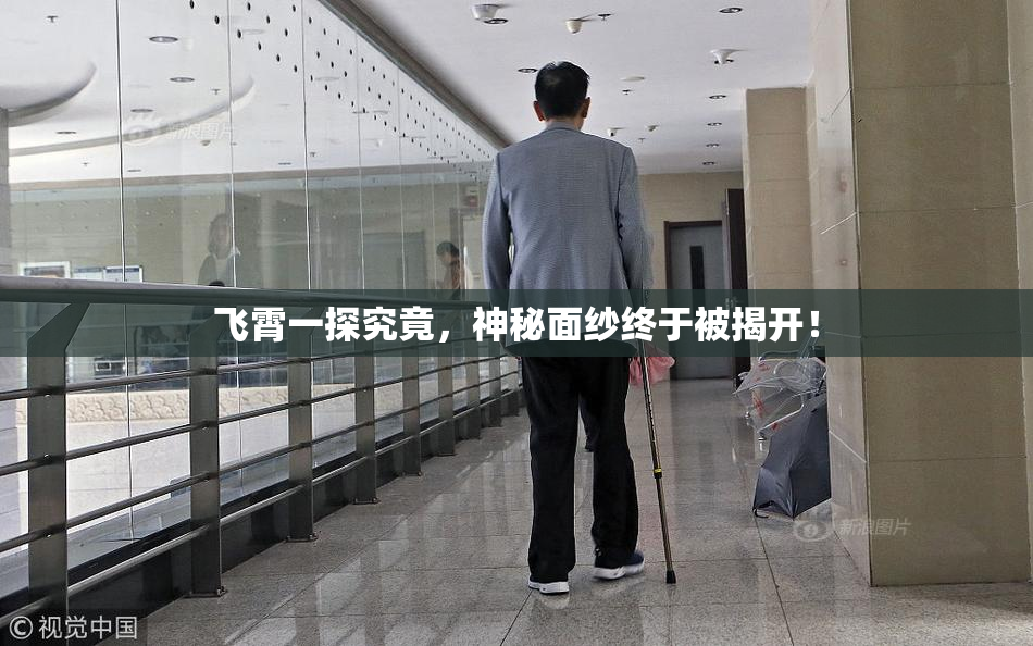 飞霄一探究竟，神秘面纱终于被揭开！