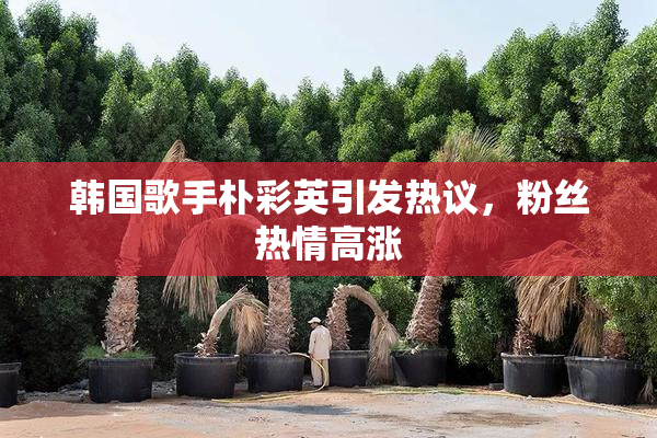 韩国歌手朴彩英引发热议，粉丝热情高涨