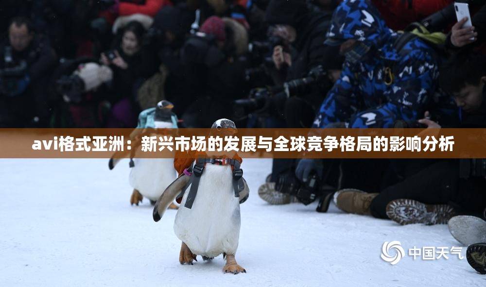 avi格式亚洲：新兴市场的发展与全球竞争格局的影响分析