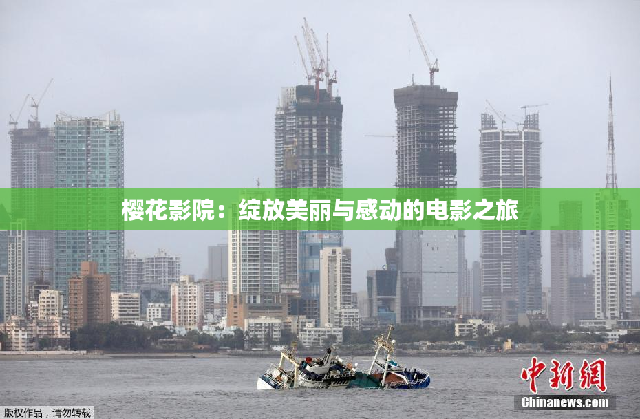 樱花影院：绽放美丽与感动的电影之旅