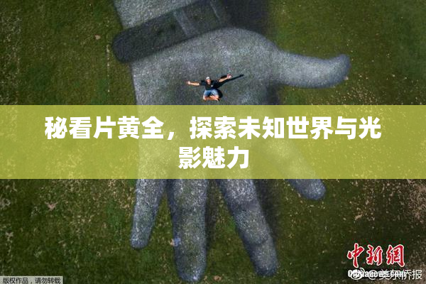 秘看片黄全，探索未知世界与光影魅力