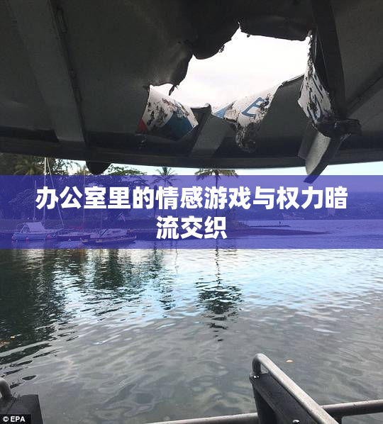 办公室里的情感游戏与权力暗流交织